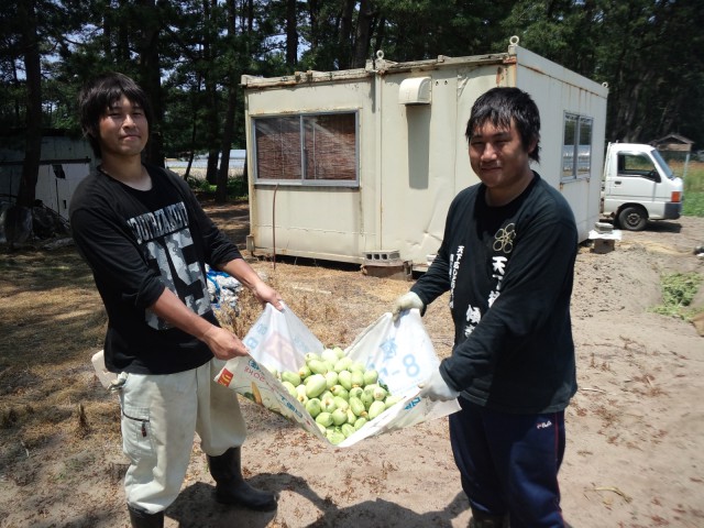 小林直太郎農園｜ＧＥＴしたメロン子を掲げるアルバイトの若者たち