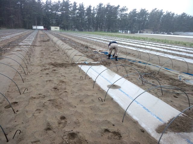 小林直太郎農園｜平均風速20mでは手も足もでません