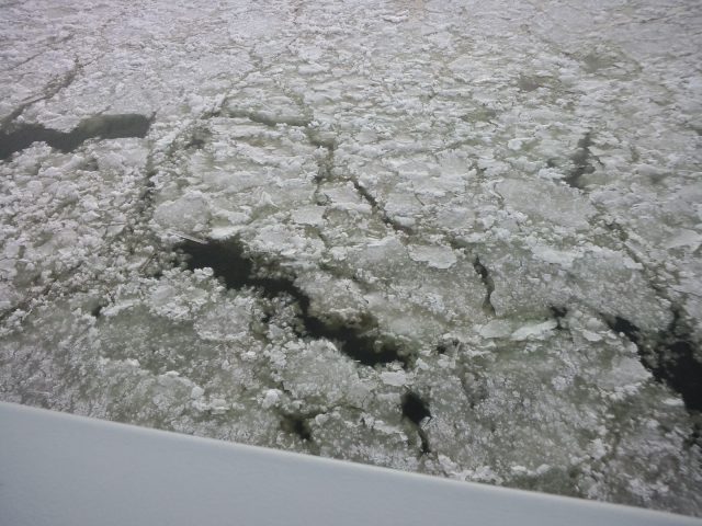 小林直太郎農園｜赤川の流氷、結構厚い氷がゆっくり流れている