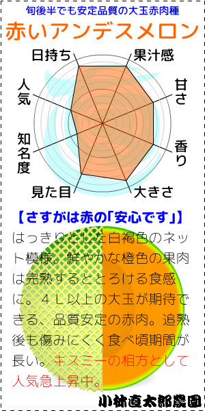 小林直太郎農園｜赤いアンデスメロンの特徴レーダーチャート。