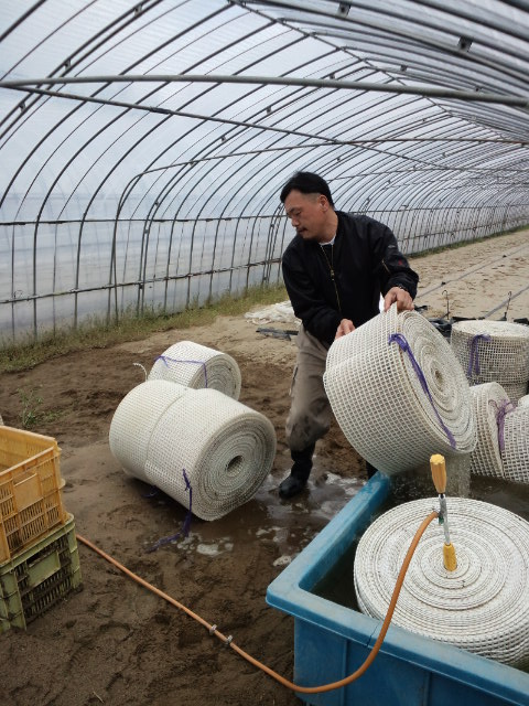 小林直太郎農園｜メロン用敷物を冬の内に洗っておこうと躍起になっているシノブ