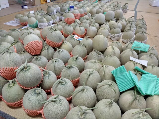 代表納得の傑作キスロマンが出荷待ち中