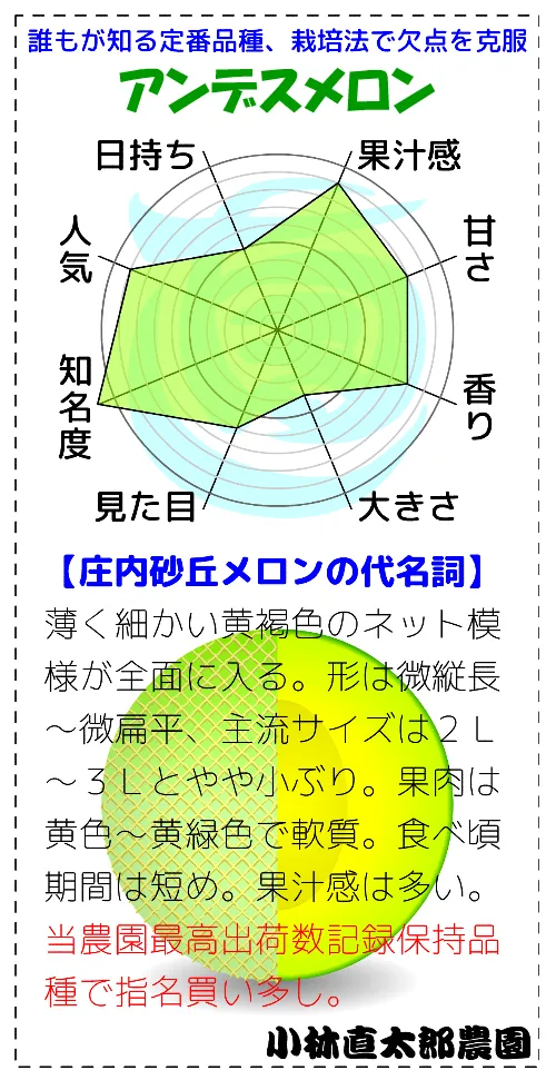 圧倒的知名度のアンデス
