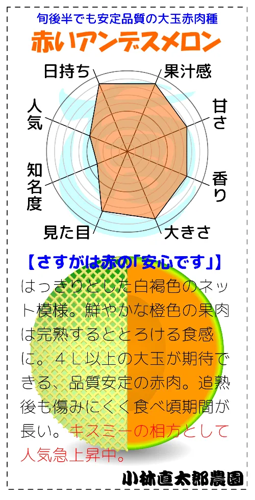 有りそうで無かった赤いアンデス