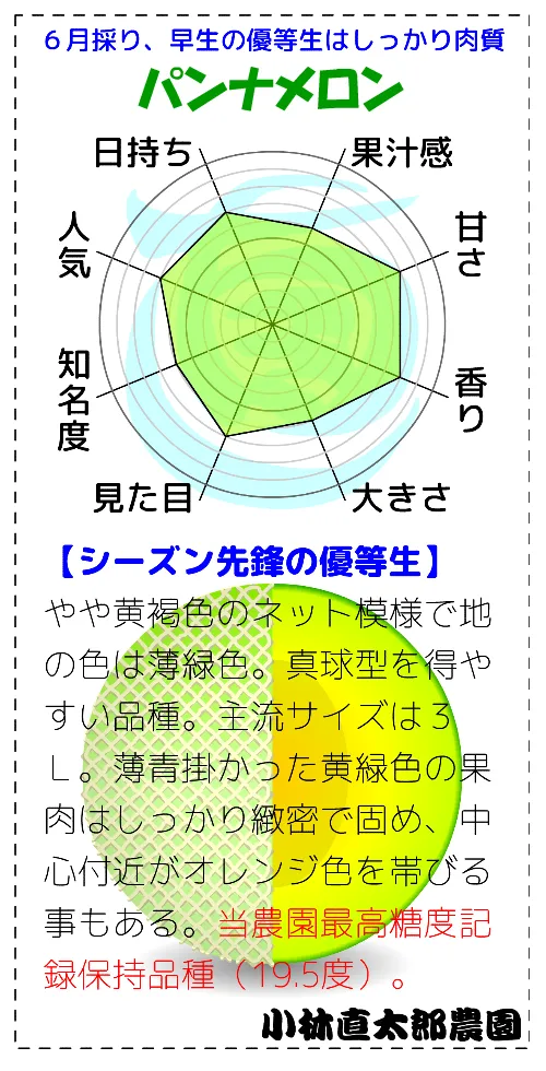 晩春の肌寒さでも良く育つパンナ